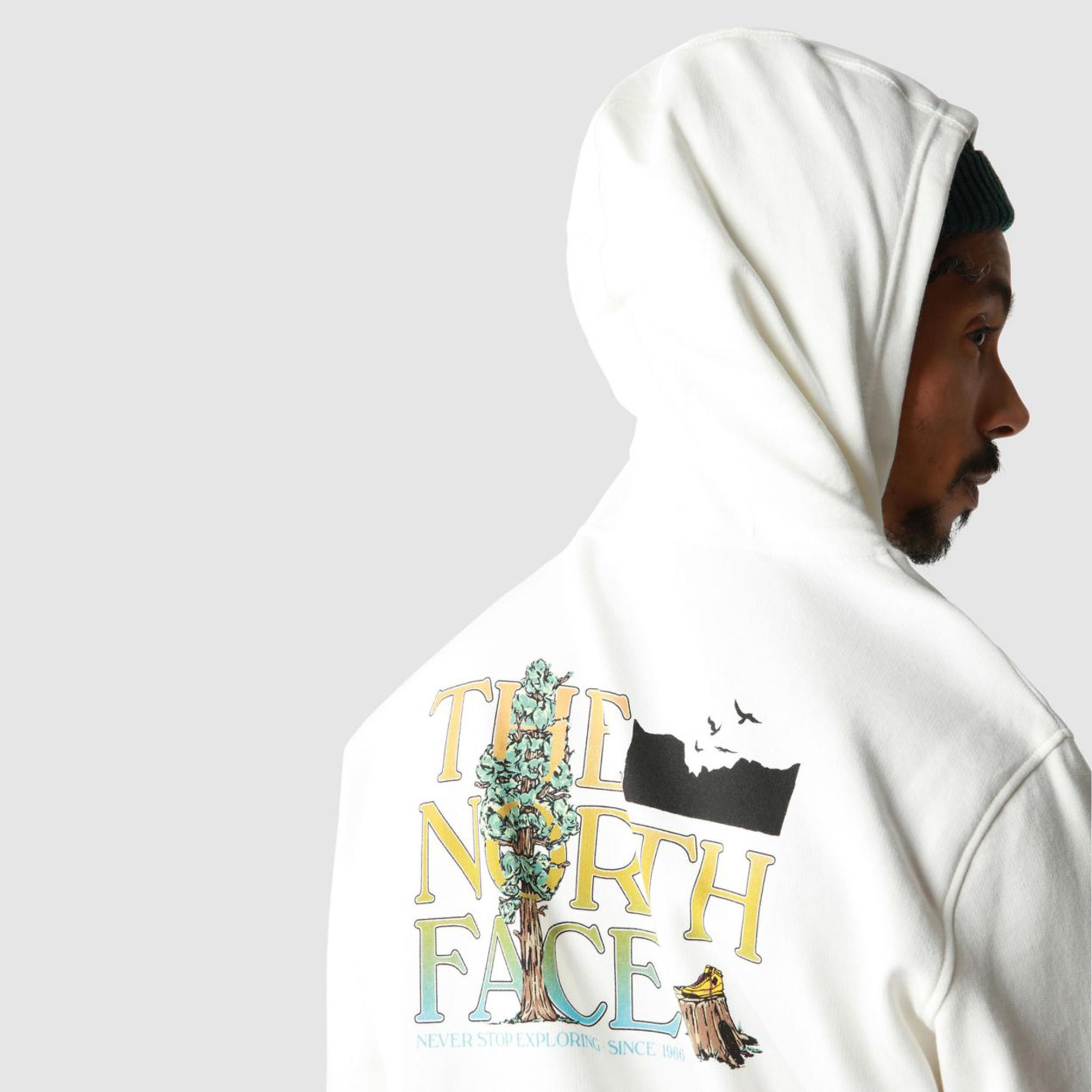  The North Face Seasonal Graphic Erkek Beyaz Sweatshirt