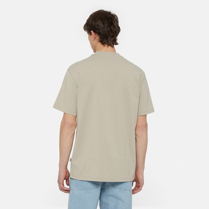  Dickies Summerdale Ss Erkek Krem T-Shirt