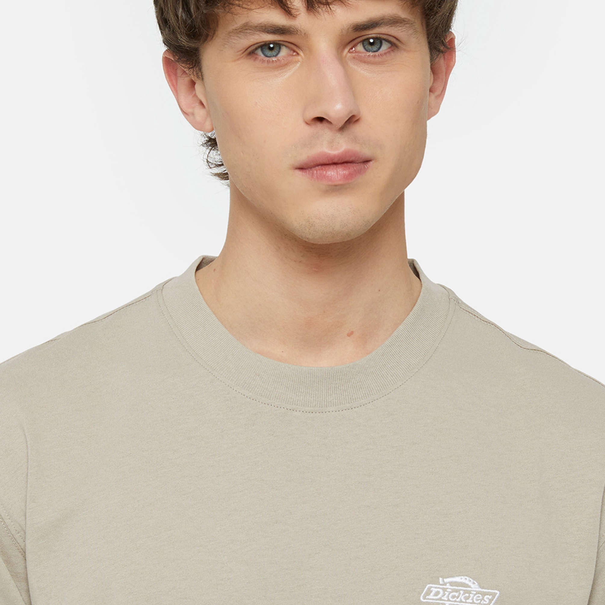  Dickies Summerdale Ss Erkek Krem T-Shirt